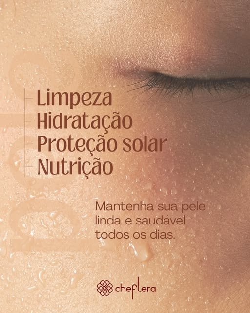 Foto 6 publicada por @cheflera.passofundo.leste no Instagram